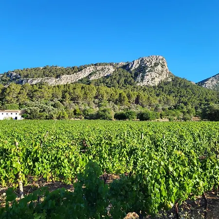 La Gerreria - Vallem * Польенса