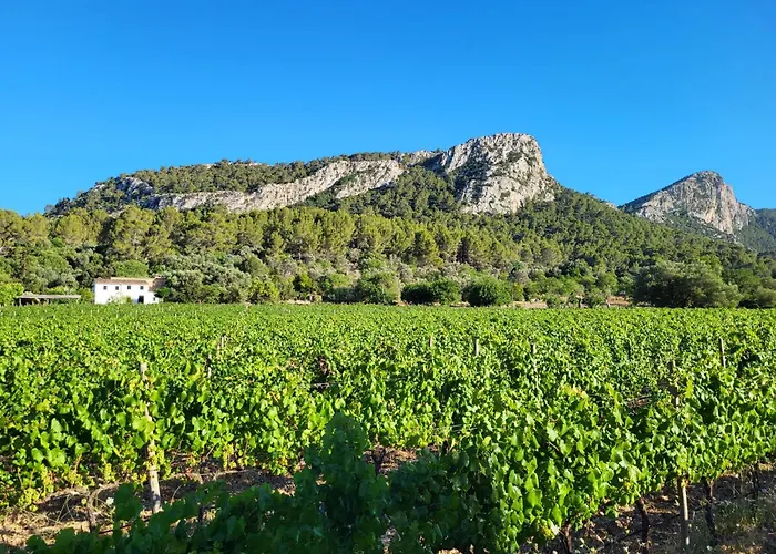La Gerreria - Vallem * Pollensa